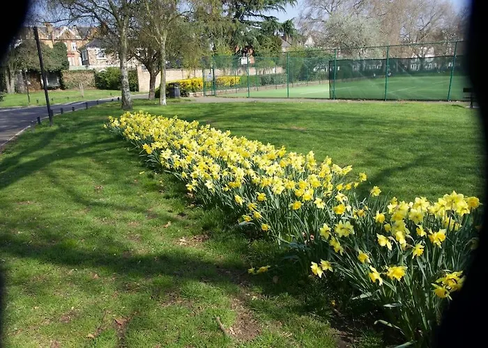 Glorious View Over The Park